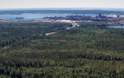 Hertsöfältet med skog och Luleå hamn i fjärran